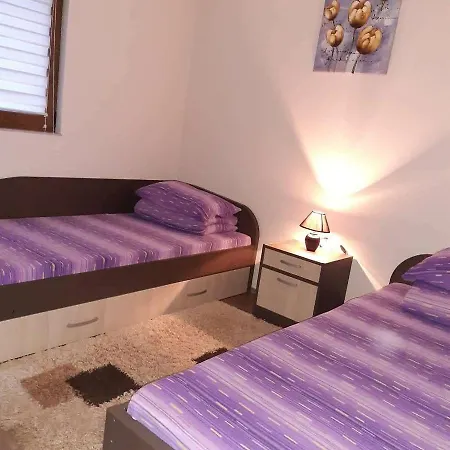 Kuca Za Odmor Drina & Tara Holiday home